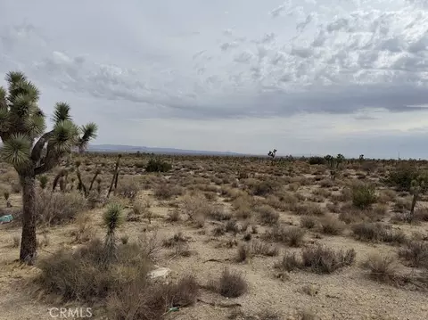 0 Ave X220, Llano, CA 93544 photo 9