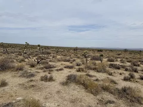 0 Ave X220, Llano, CA 93544 photo 7