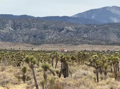 0 Ave X220, Llano, CA 93544 photo 16
