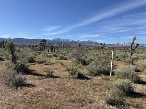 0 Ave X220, Llano, CA 93544 photo 50