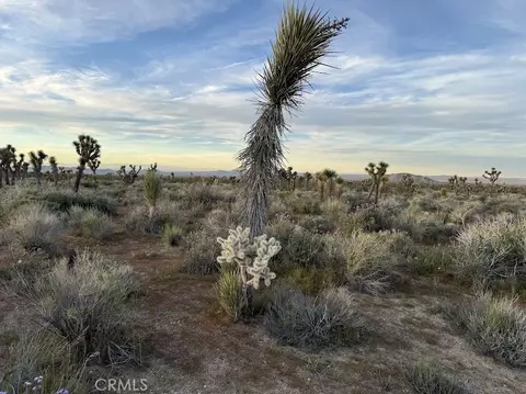0 Ave X220, Llano, CA 93544 photo 45