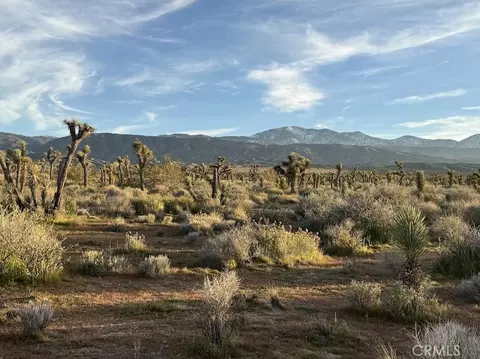 0 Ave X220, Llano, CA 93544 photo 43