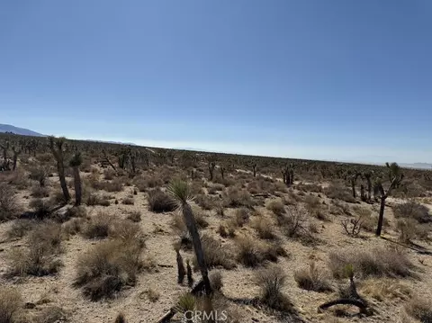 0 Ave X220, Llano, CA 93544 photo 59