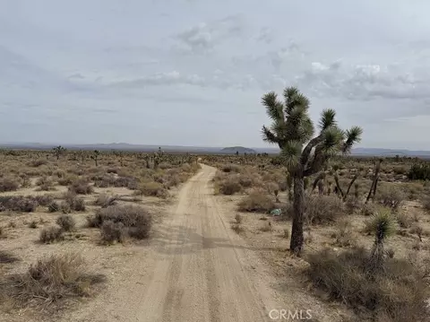0 Ave X220, Llano, CA 93544 photo 8