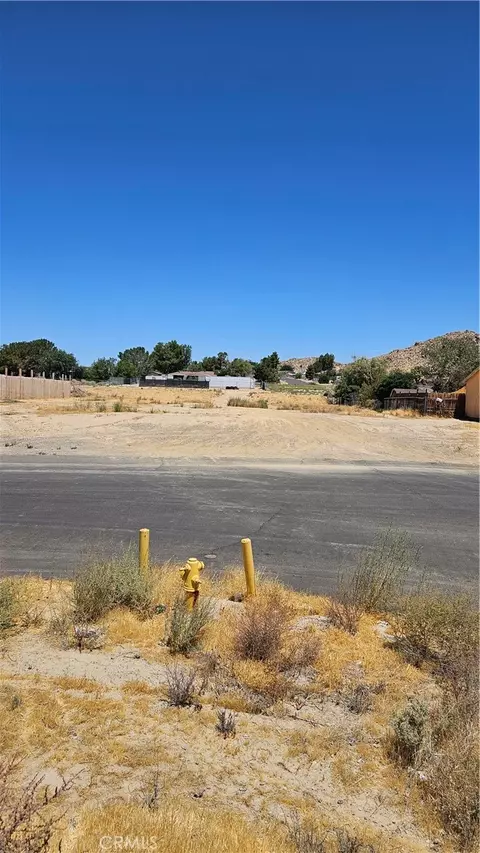 17837 Rawhide Ave, Palmdale, CA 93591 photo 2