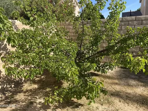 Exterior - 3303 Arious, Lancaster, CA 93536 photo 7 of 8