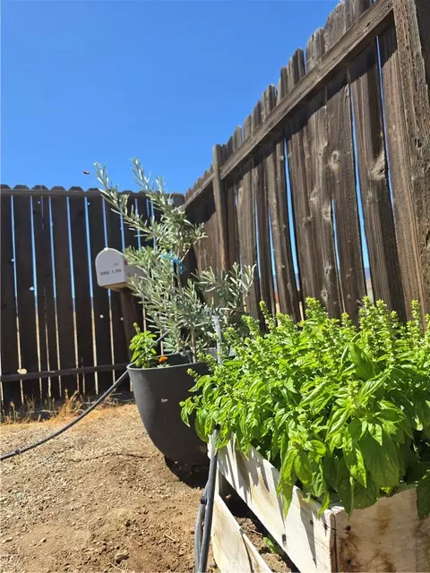 Exterior - 50008 Three Pts, Lancaster, CA 93536 photo 9 of 19