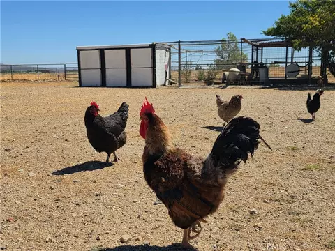 Exterior - 50008 Three Pts, Lancaster, CA 93536 photo 13 of 19