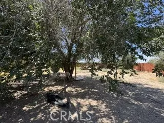 40915 161st E, Lancaster, CA 93535 photo 5