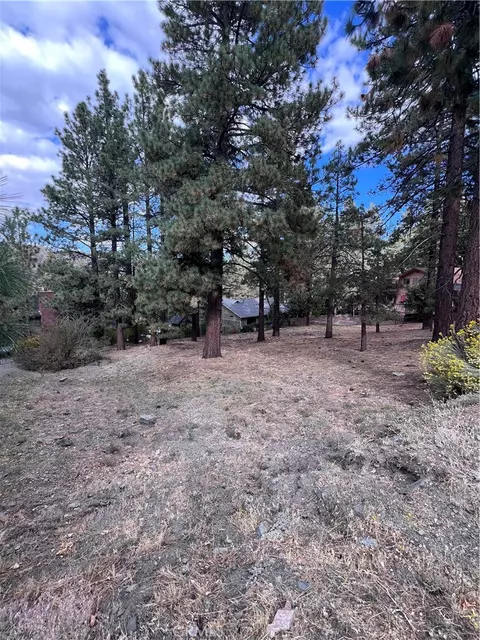 0 Timberline Dr #LOT 13, Wrightwood, CA 92397 photo 8