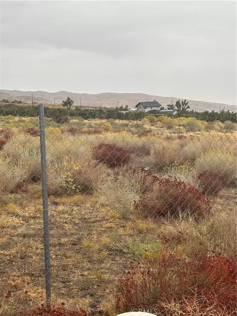 106 106th, Juniper Hills, CA 93543 photo 3