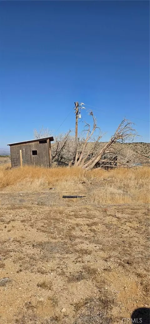 29319 121st E, Juniper Hills, CA 93543 photo 6