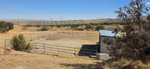 29319 121st E, Juniper Hills, CA 93543 photo 3