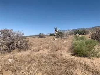 0 Emerald, Lucerne Valley, CA 92356