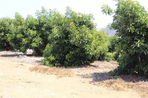 4 Via Vaquero Rd, Temecula, CA 92590