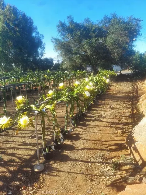 Other - 1996 Rainbow Glen Rd, Fallbrook, CA 92028 photo 4 of 23