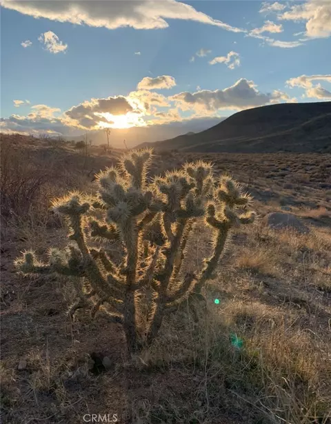 0 E Dr, Pioneertown, CA 92268