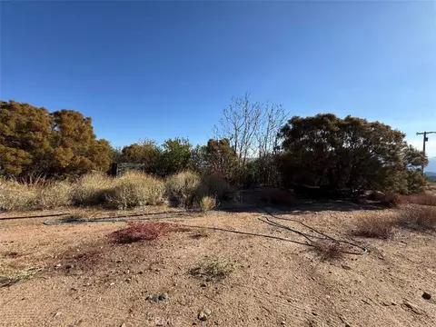 45740 Chapman Rd, Anza, CA 92539 photo 11
