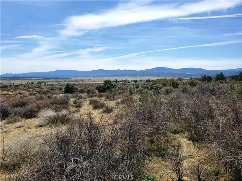 1 Mitchell Rd, Anza, CA 92539 photo 10