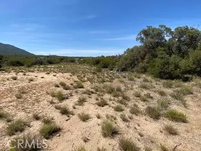 19 Higgins Rd, Anza, CA 92539 photo 8