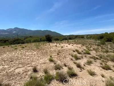 19 Higgins Rd, Anza, CA 92539 photo 10