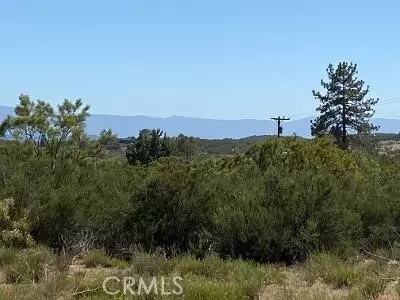 19 Higgins Rd, Anza, CA 92539 photo 17