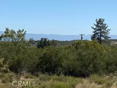 19 Higgins Rd, Anza, CA 92539 photo 17