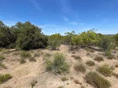 19 Higgins Rd, Anza, CA 92539 photo 7
