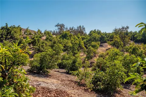 15 Camaron Rd, Temecula, CA 92590 photo 7