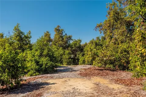 15 Camaron Rd, Temecula, CA 92590 photo 5