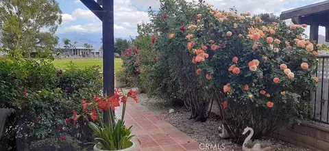 Exterior - 1484 Pepper Tree Dr, Hemet, CA 92543 photo 3 of 6