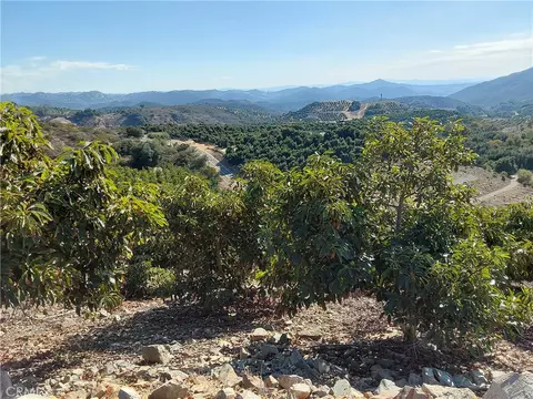 3 Via Vaquero, Temecula, CA 92590 photo 18