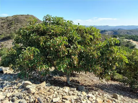 3 Via Vaquero, Temecula, CA 92590 photo 16