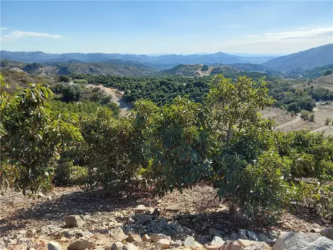 3 Via Vaquero, Temecula, CA 92590 photo 17