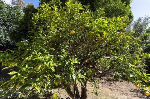 2248 Mil Sorpresas, Fallbrook, CA 92028 photo 30