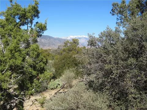 155 Lot Apt 155 Buckthorn, Mountain Center, CA 92561