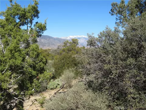 155 Lot Apt 155 Buckthorn, Mountain Center, CA 92561