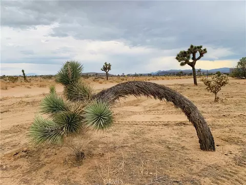 58040 Junipero, Yucca Valley, CA 92284
