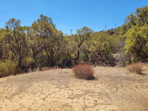 0 Terwilliger Rd, Anza, CA 92539 photo 4