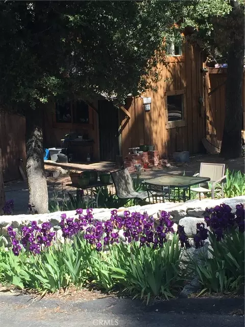 Exterior - 9112 Torrey Pines Rd, Forest Falls, CA 92339 photo 10 of 13