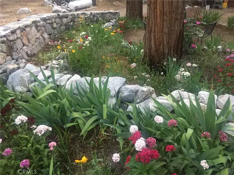 Exterior - 9112 Torrey Pines Rd, Forest Falls, CA 92339 photo 5 of 13