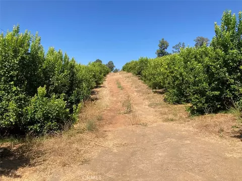 39 Carancho Rd, Temecula, CA 92590 photo 6