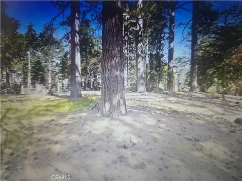 0 Pine Ridge Rd, Pine Cove, CA 92548 photo 5