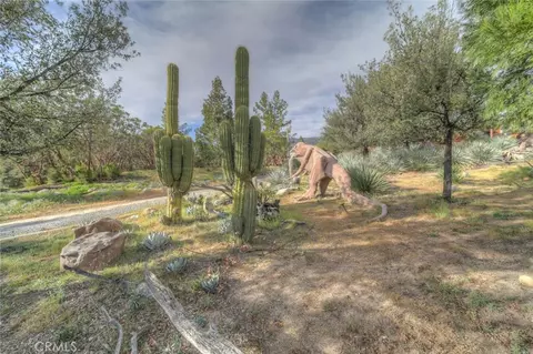 37440 Old Frst, Anza, CA 92539 photo 61