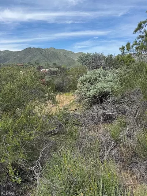 0 Murray Hills Rd, Anza, CA 92539 photo 12