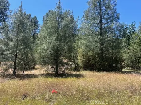 0 Coalinga, Outside Area Inside, CA 93210 photo 5