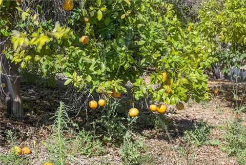 38623 Martin Ranch Rd, Temecula, CA 92592 photo 8