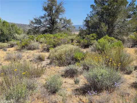 37310 Bohlen, Anza, CA 92539 photo 9