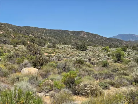 37310 Bohlen, Anza, CA 92539 photo 7