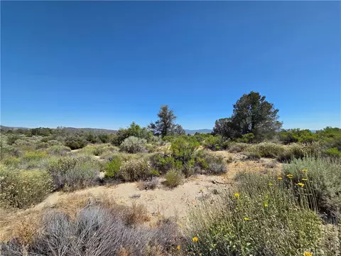 37310 Bohlen, Anza, CA 92539 photo 10